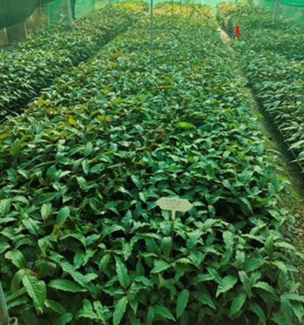 ผลิตภัณฑ์ 7